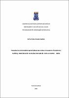 Dissertação Final_Sofia Aline Santos.pdf.jpg