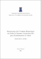 Tassalon_Dissertacao_Final.pdf.jpg
