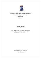Dissertação_Pessoa, Jonatan Onis.pdf.jpg