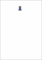 Versão final da Dissertação1.pdf.jpg