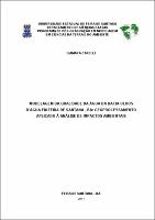 Dissertação_Liamara.pdf.jpg