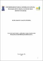 Dissertaçao-Danilo.pdf.jpg
