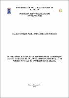 Camila de...pdf.jpg