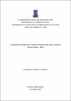 Layanne_Dissertacao_ppgm.pdf.jpg
