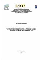 Dissertacao___19.06.2023___Diego_Santos_Rebelo__Versao_para_deposito_.pdf.jpg