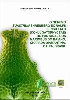 2018__Fabiana_Costa__Dissertacao_de_mestrado.pdf.jpg