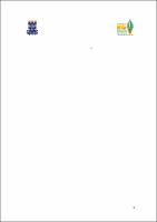 DISSERTAÇÃO - FLAVIO SOARES DOS SANTOS.pdf.jpg