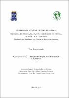 Fernando Ferraz Ribeiro - Tese.pdf.jpg