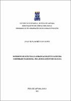 LUCAS SILVA PACHÊCO DOS SANTOS - Dissertacao.pdf.jpg
