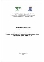 Osvaldo de Castro Oliveira Júnior - Dissertacao.pdf.jpg