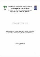 DISSERTAÇÃO - RAFAEL OLIVEIRA FRANÇA ROCHA.pdf.jpg