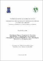 TESE - NILTON DE SOUZA RIBAS JÚNIOR.pdf.jpg