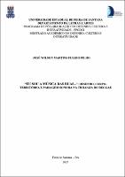 JOSÉ WILSON MARTINS FIALHO FILHO - DISSERTACAO.pdf.jpg