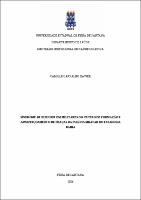 DISSERTAÇÃO - CAMILLE CARVALHO XAVIER.pdf.jpg