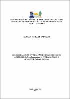 DISSERTAÇÃO  - ISABELLA VIEIRA CARVALHO.pdf.jpg