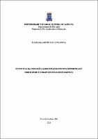 ELIZELMA SANTOS DA SILVA SOUSA -  Dissertação.pdf.jpg