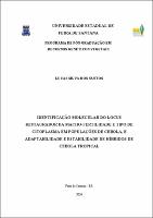 DISSERTAÇÃO - LUCAS SILVA DOS SANTOS.pdf.jpg