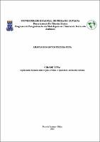 AMANDA DOS SANTOS FELIX DA SILVA - DISSERTACAO.pdf.jpg
