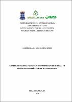 GABRIELA HAANA MAIA OLIVEIRA NUNES - Dissertação.pdf.jpg