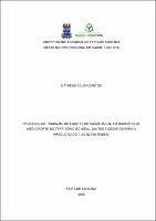 MATHEUS SOUSA SANTOS - Dissertação.pdf.jpg